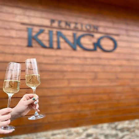 Penzion Kingo Nemšová Extérieur photo